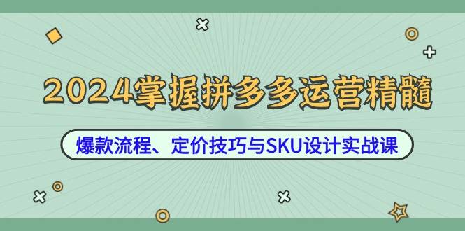 2024掌握拼多多运营精髓：爆款流程、定价技巧与SKU设计实战课-小蜜蜂资源网