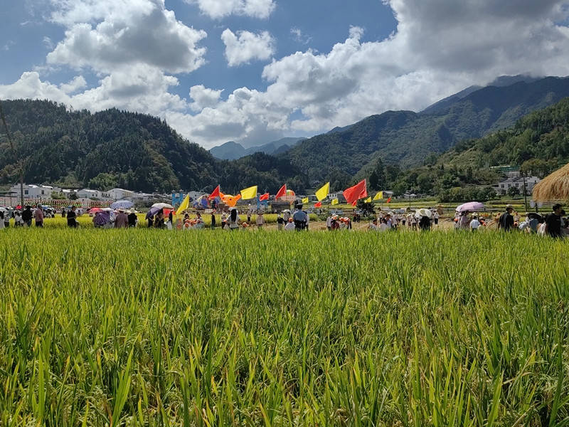 平利县广佛镇:"农味""趣味"庆丰收