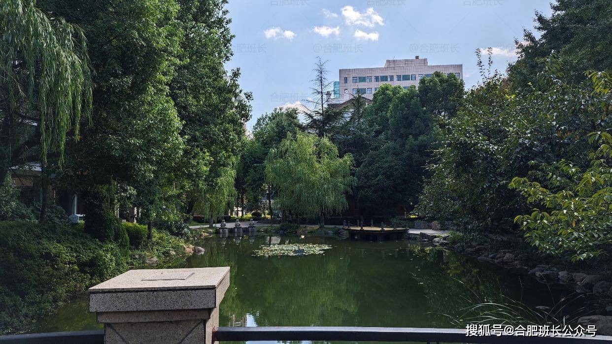 交付二十年依然惊艳,实探蜀山区新华学府花园!