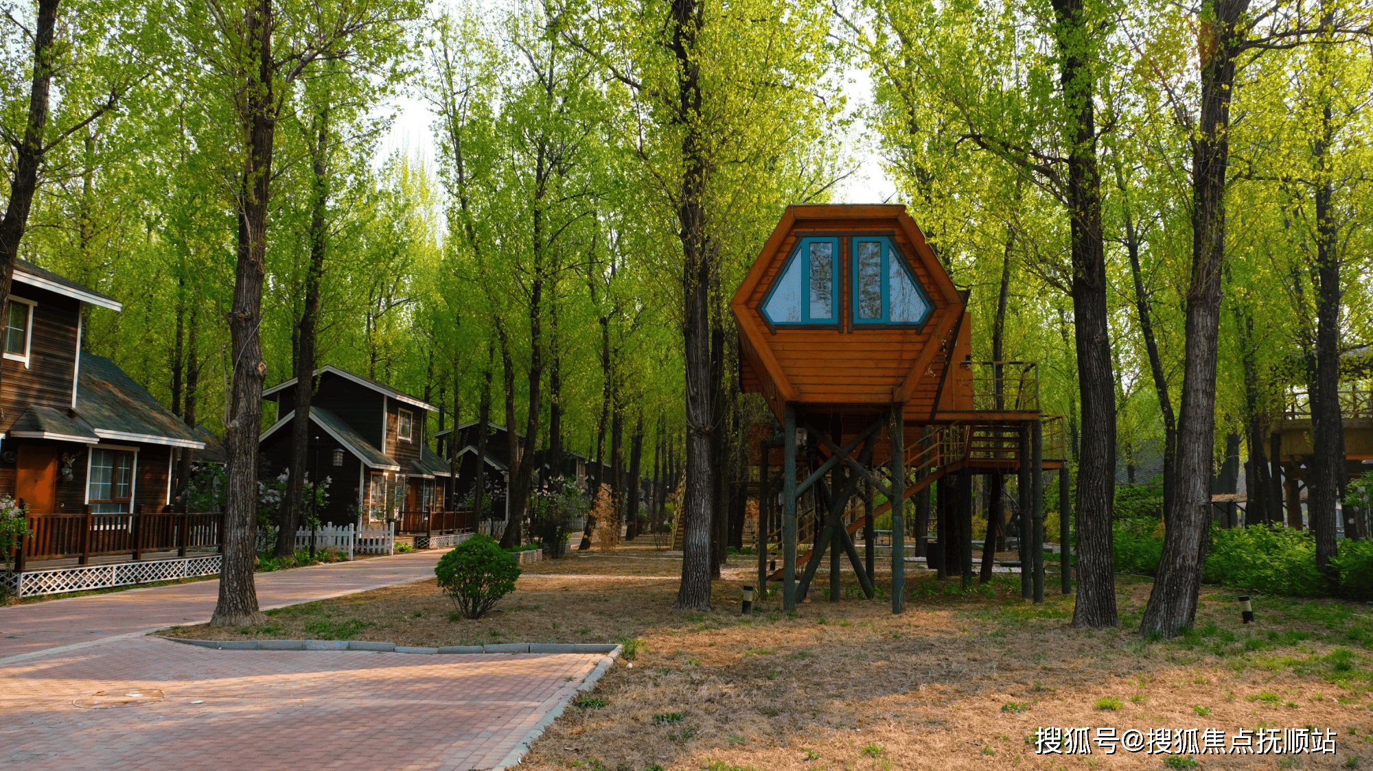 永清林栖谷森林康养度假区怎么样2024详情-入住价格,地址详情