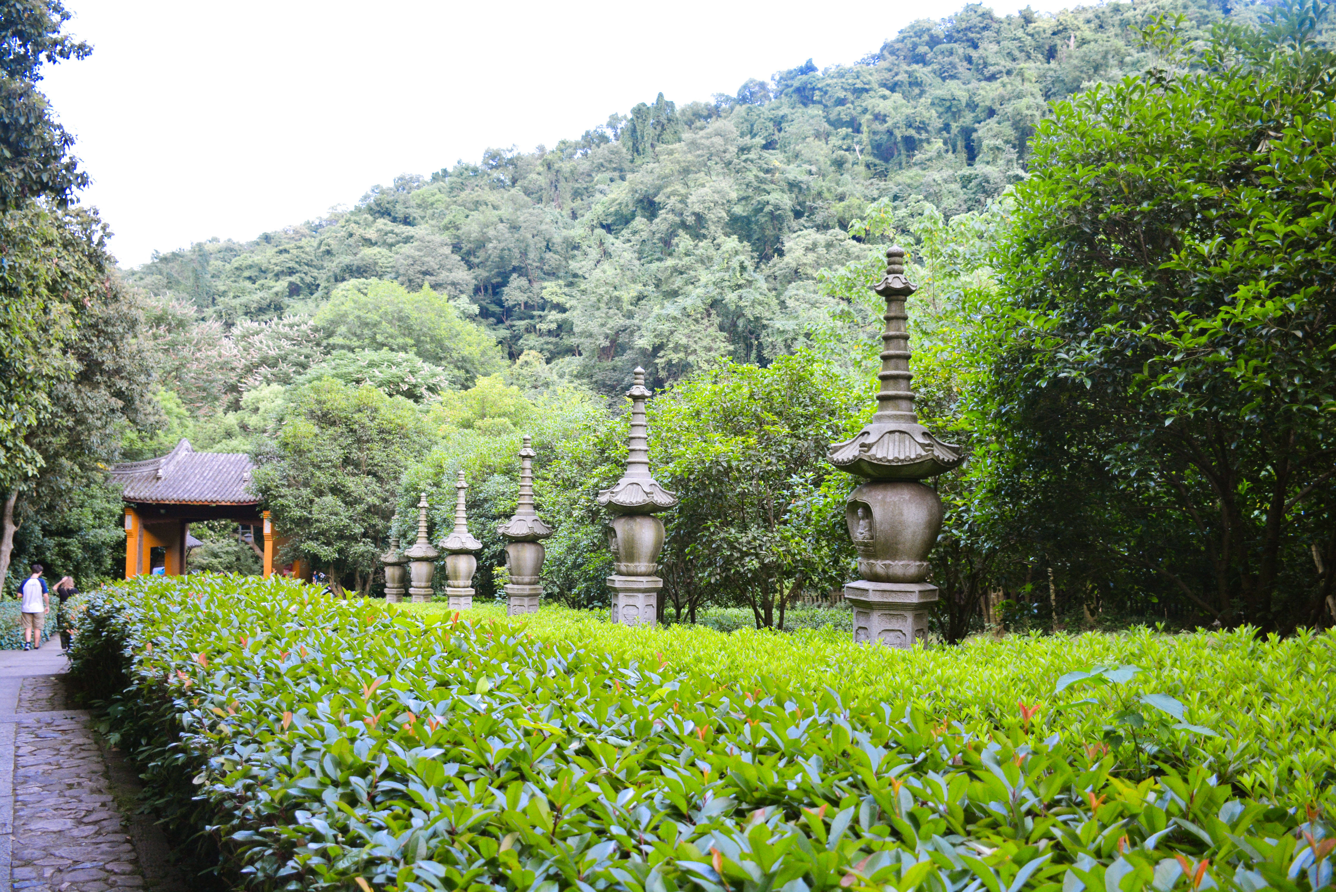 可礼佛可品茶,杭州永福寺真佛系!