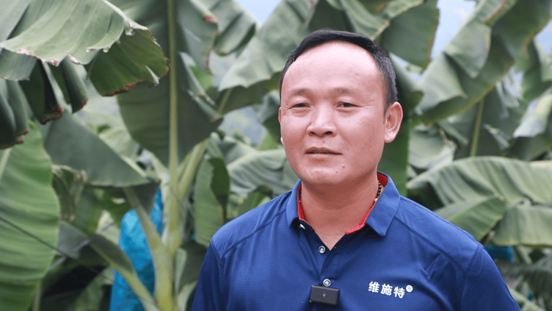 华强化工 强农工程:品质肥料带头人 ——周成