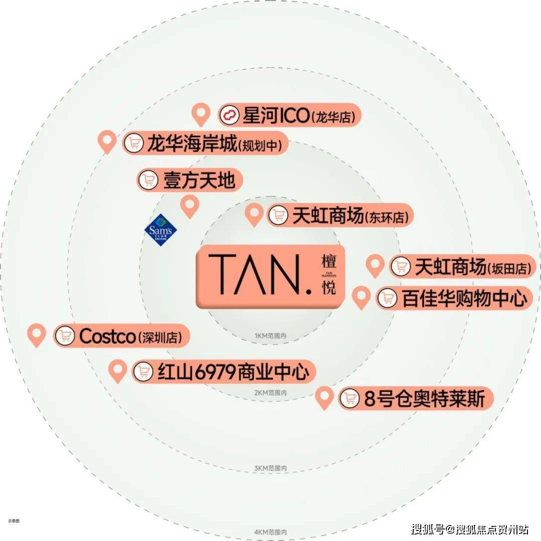 新华中学网站(新华初级中学 官网)