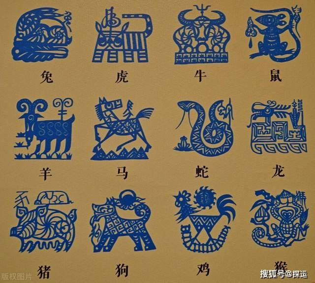 10属什么的生肖运势(10号生肖)