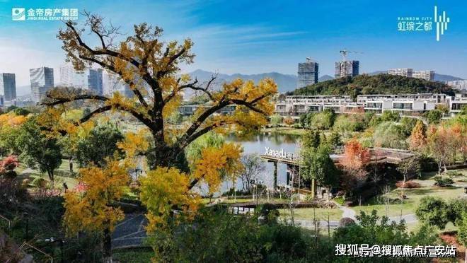虹缤之都-(虹缤之都)虹缤之都丨项目简介丨虹缤之都_银湖_生活_公园