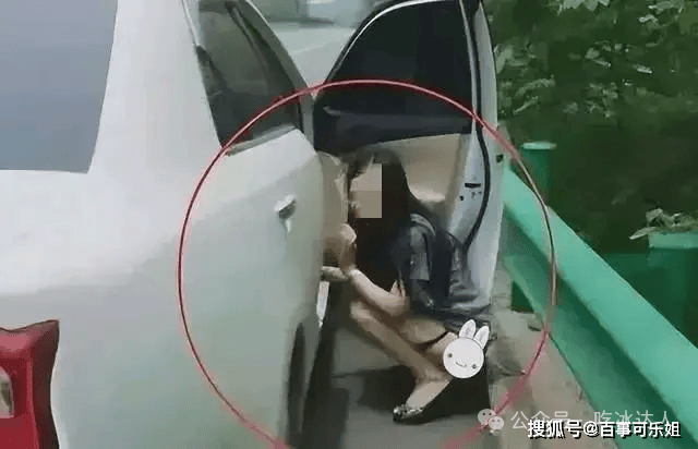 来自搜狐网