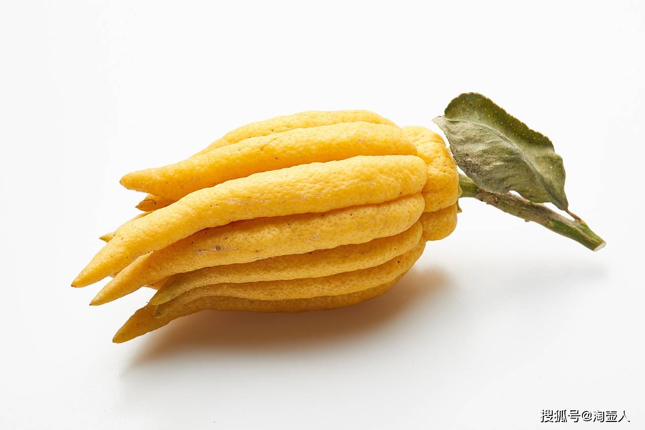 紫砂壶上的装饰题材:佛手