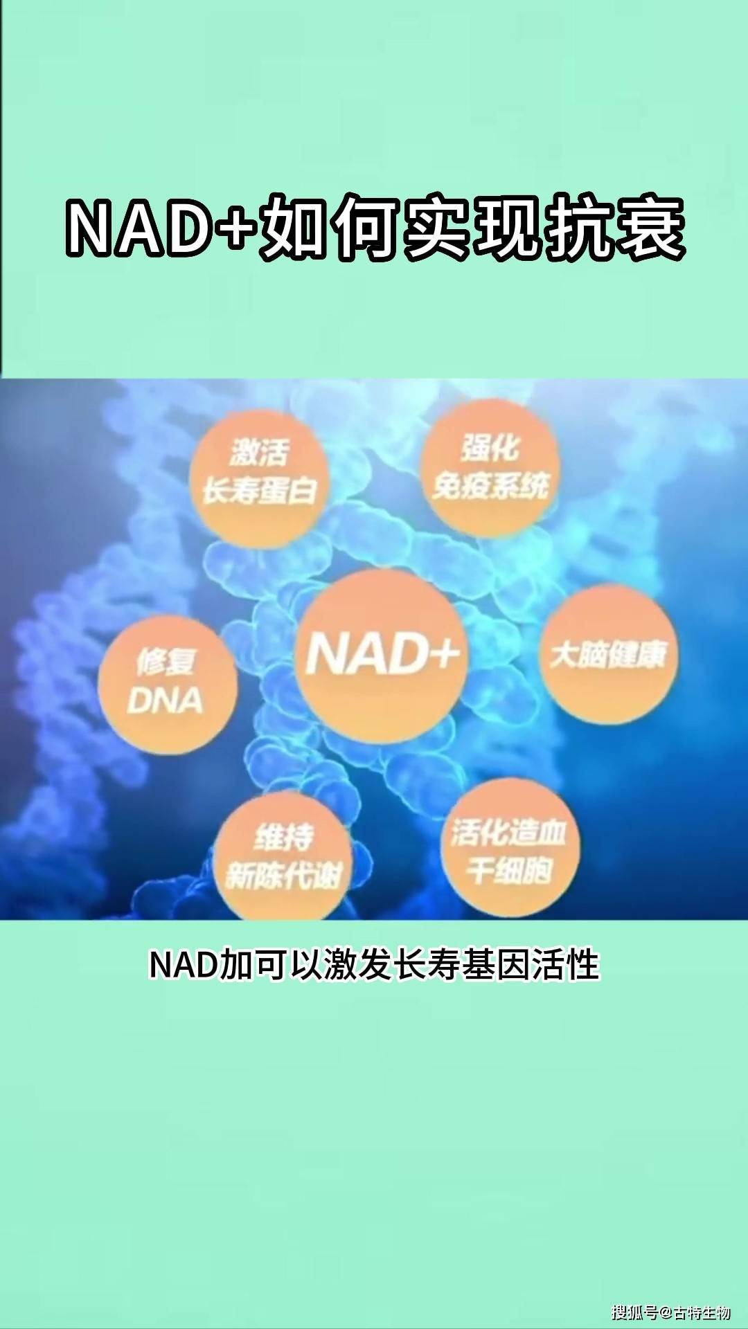 nad 如何实现抗衰老