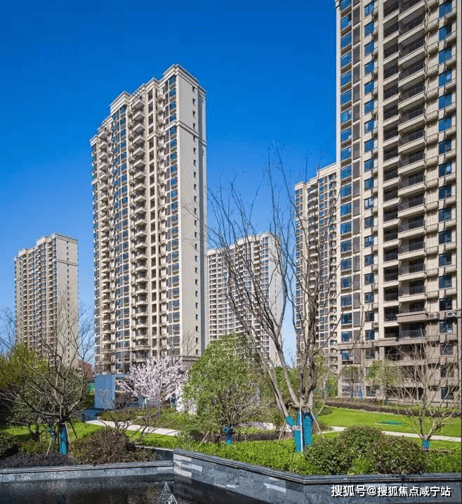 金山光明艺树家(2024年光明艺树家)首页网站-楼盘详情-光明艺树家户型配套_生活_社区_图片