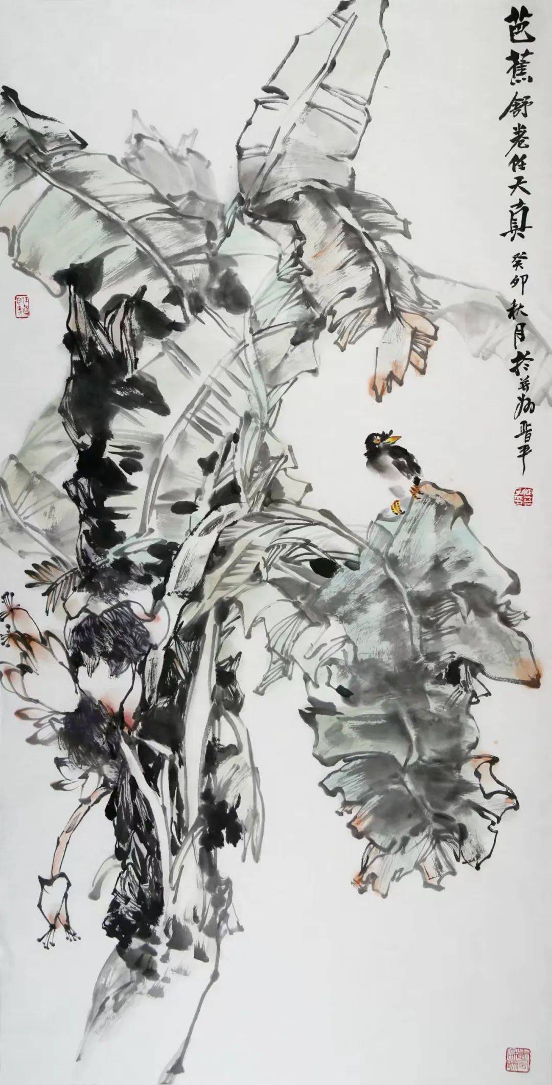 徐晋平花鸟画图片