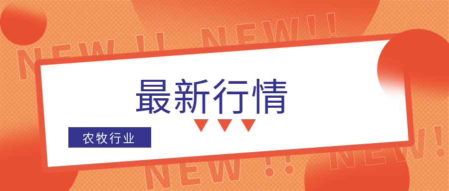 2024年9月粮食进口量同比多降-粮食进口大增