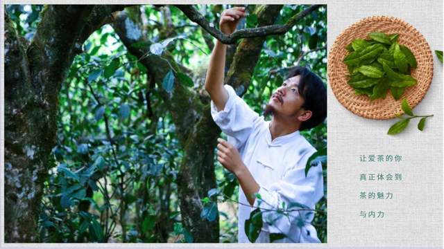 恭喜东极一品楼茶庄.