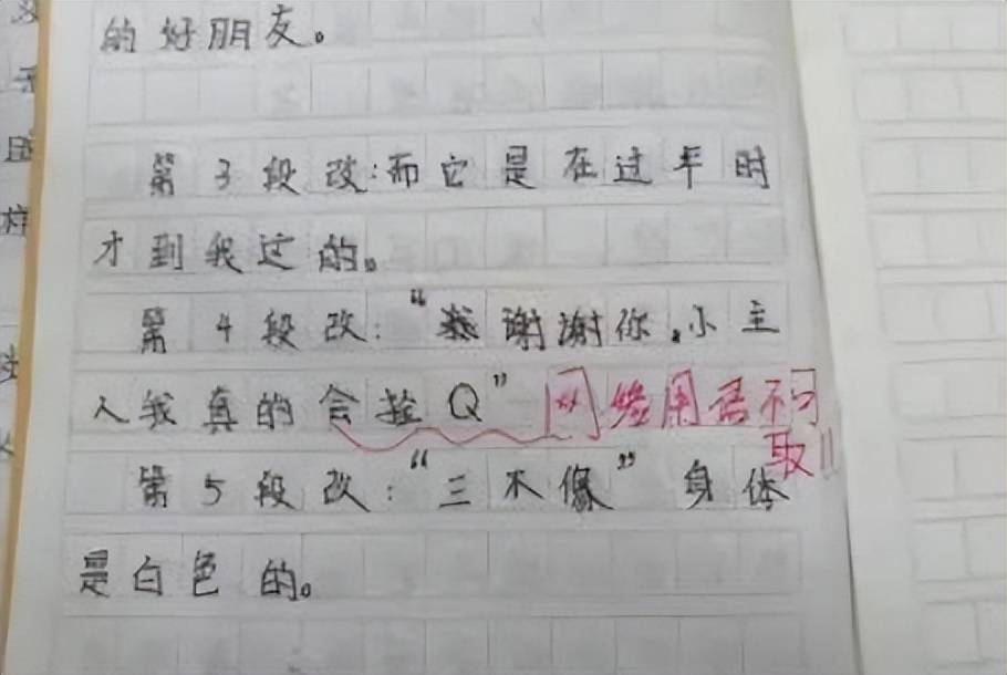 小学作业白字写与画图片