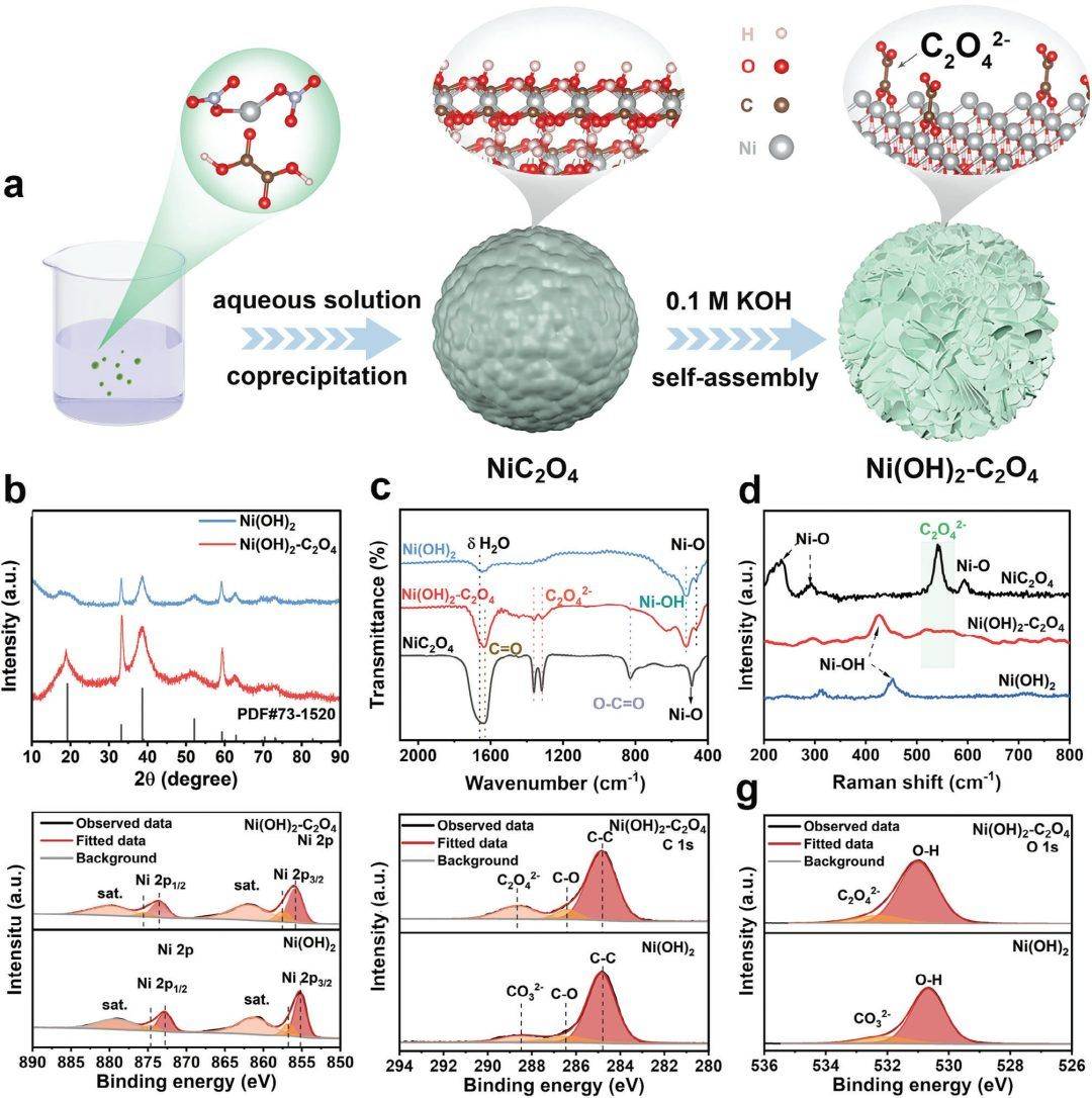 他,苏大「国家杰青/科技创新领军人才」,最新afm!