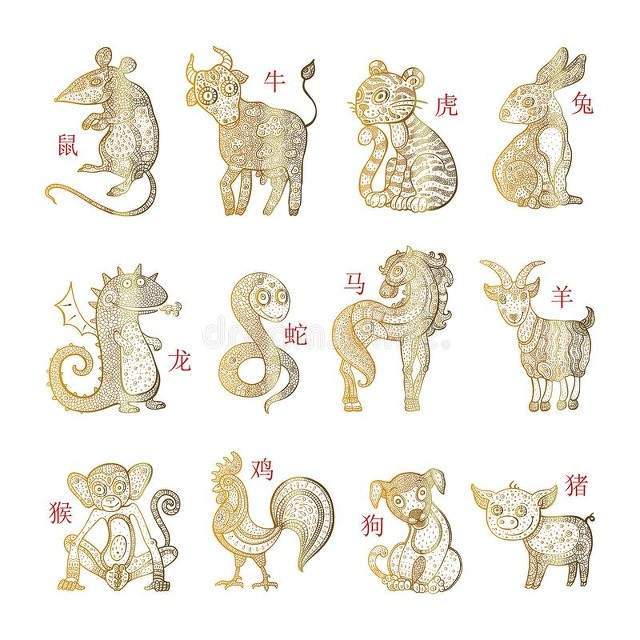 各个生肖明年运势(明年生肖属相)