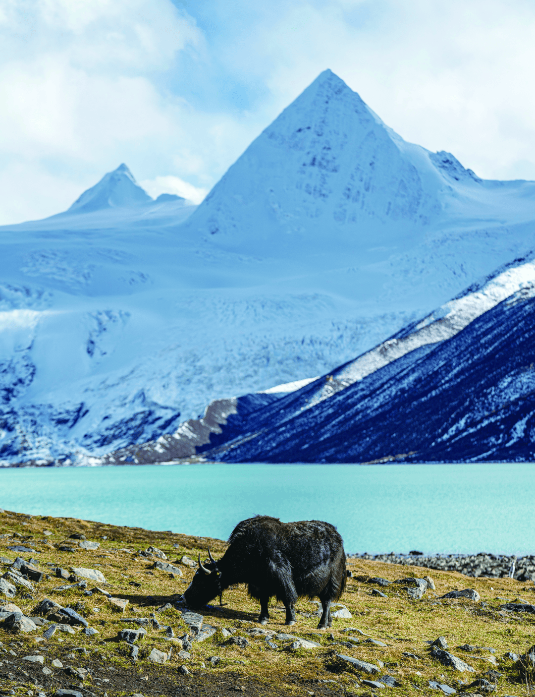 冬游西藏自驾建议路线,条条经典,你去过几条?_昌都_那曲_雪山