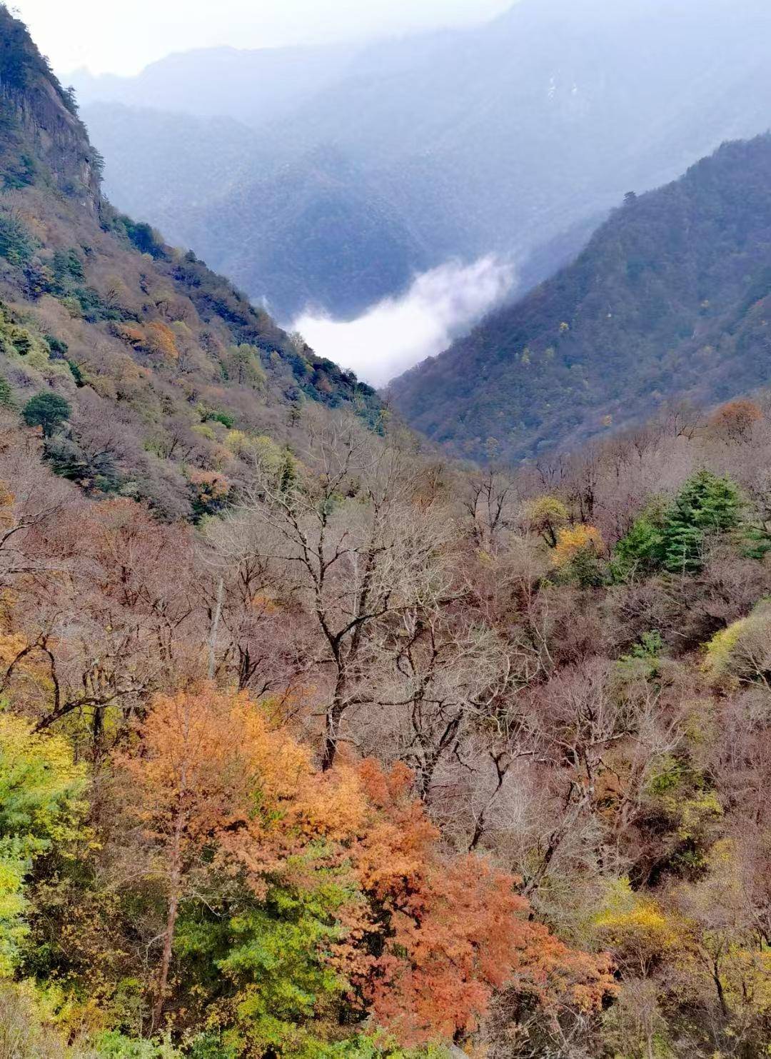 全域旅游看陕西—东北旅行商联盟走进八百里秦川