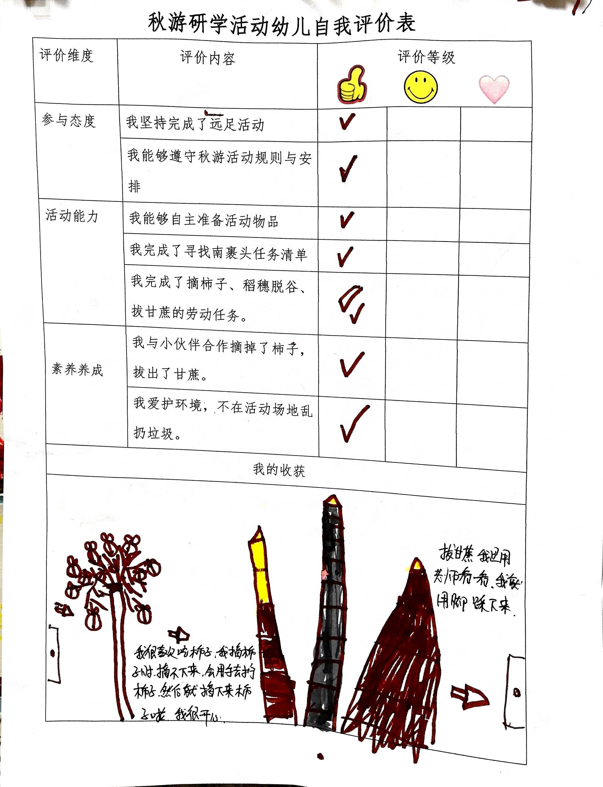 红枣手抄报内容图片