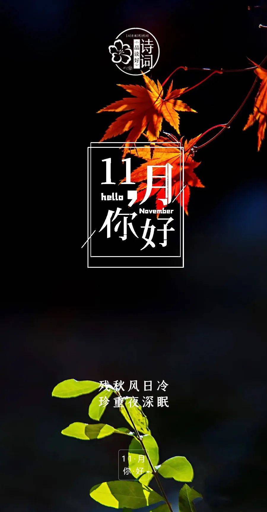 文章配图-3