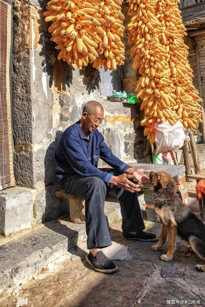 老人_人们_电视机