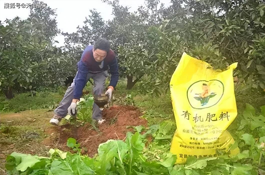 有机肥的正确使用方法作物养分土壤 