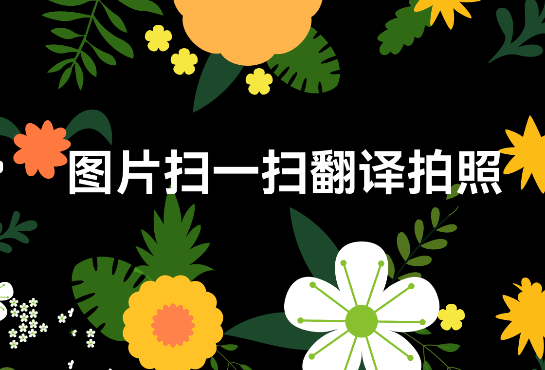 扫一扫中英互译=扫一扫中英互译App