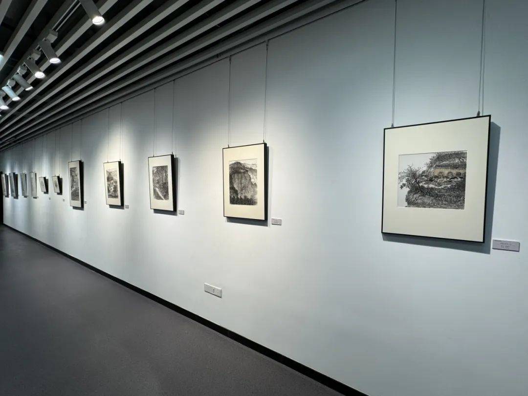 《花开时明》南京开明书画院成立5周年名家邀请展正式开幕