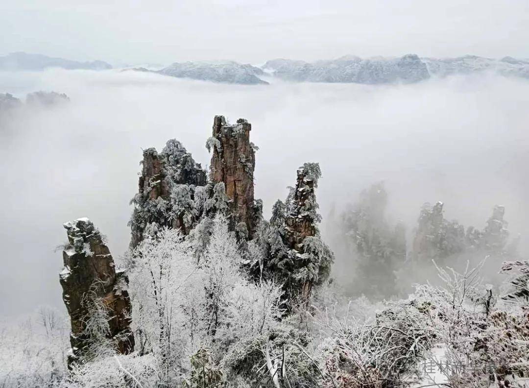 张家界雪景图片天子山图片