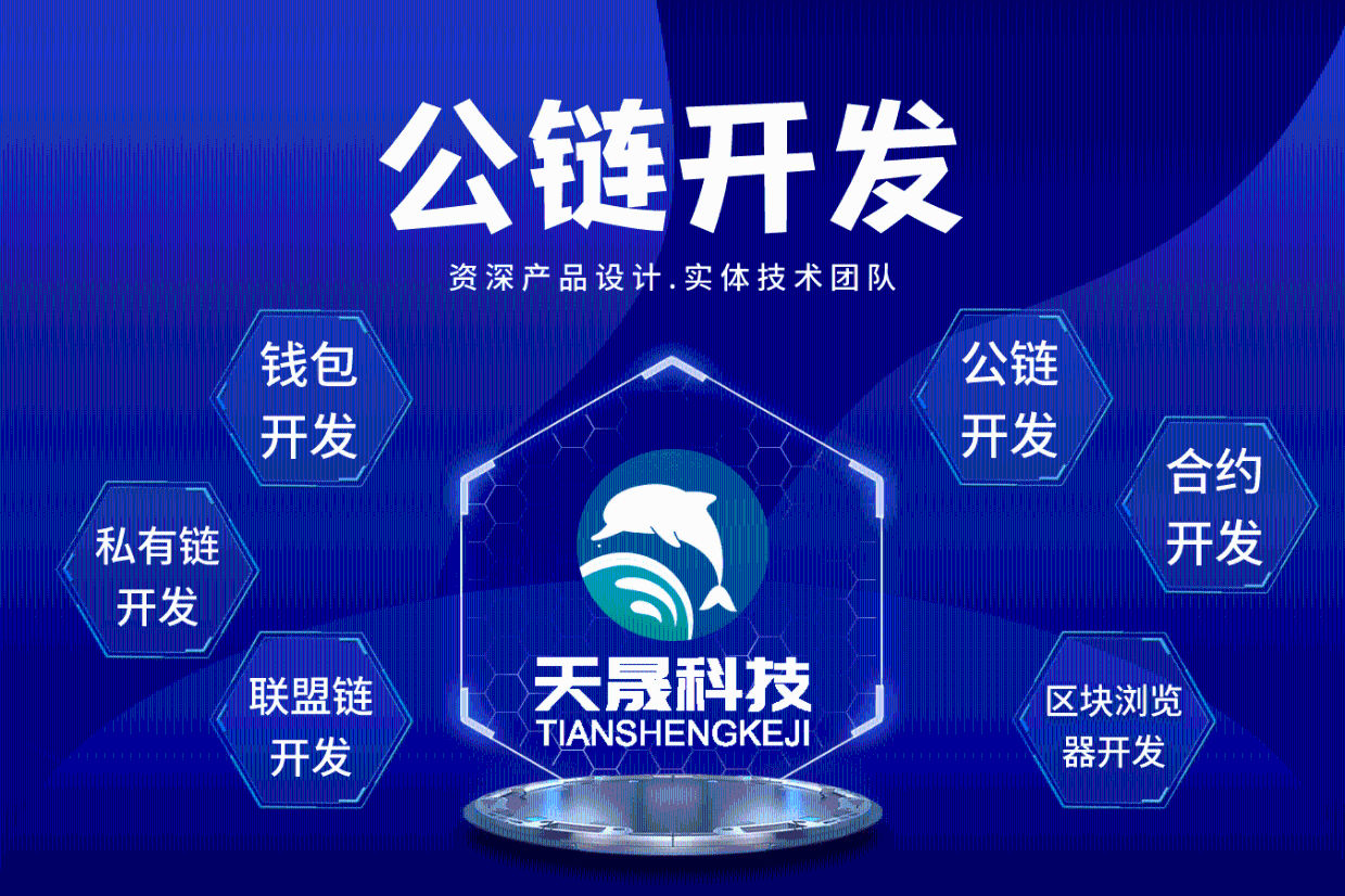 公链技术开发之路：从概念到实现的公链开发全攻略_搜狐网