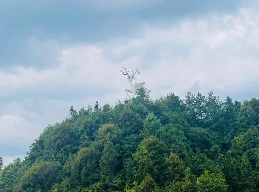 桐梓有个重庆人避暑后花园之称的枕泉翠谷避暑度假区距离巴南155