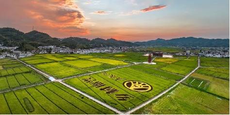 文章配图-2