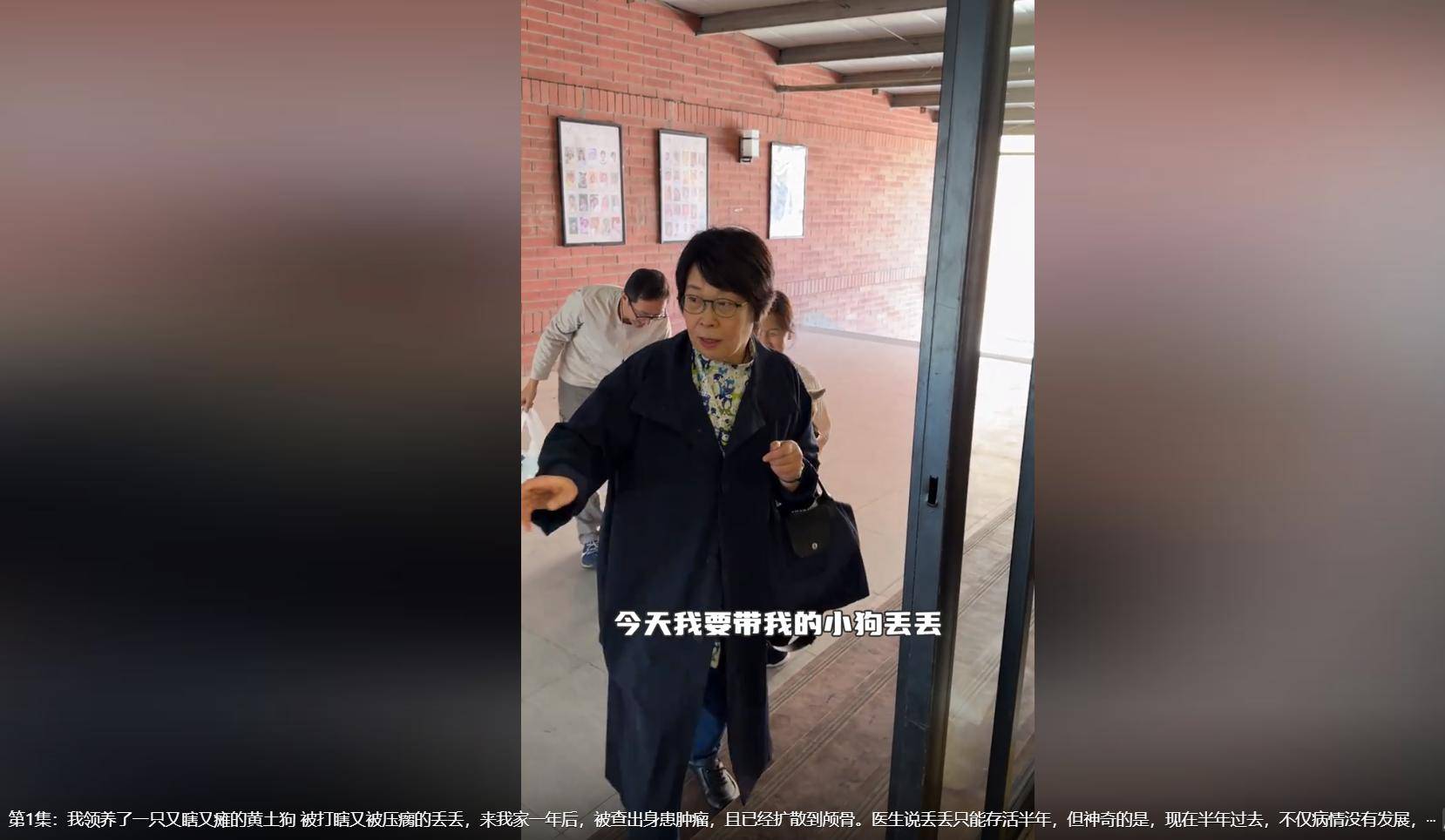 59岁央视主持张越现状,身形暴瘦鼻孔外翻,独自与瘸腿土狗为伴