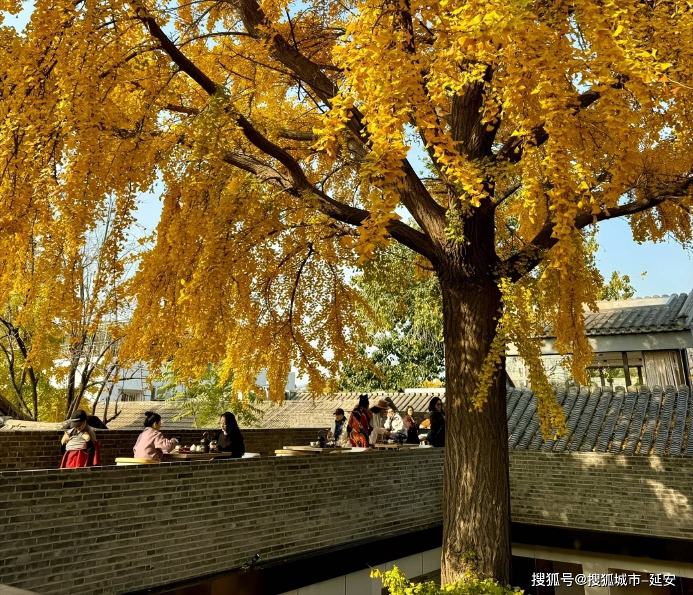 北京旅游五天四晚要多少钱?北京跟团五日游路线,建议码住!_景点_故宫_Day