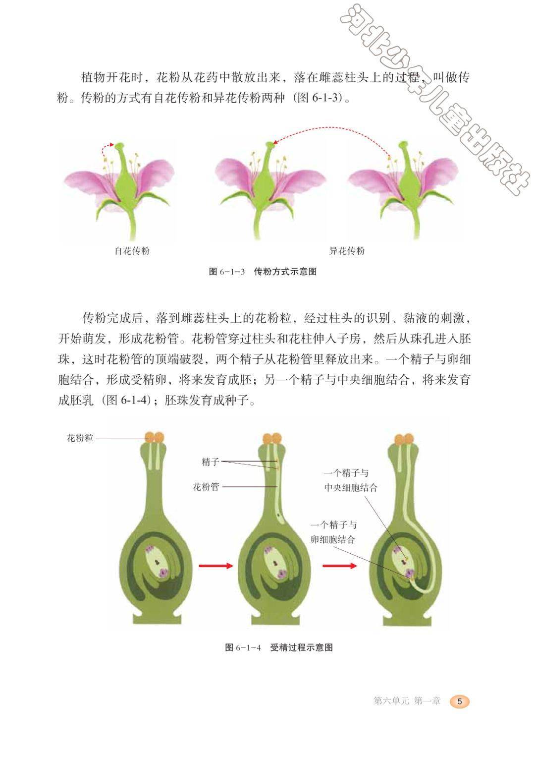 新教材冀少版八年级生物下册电子课本