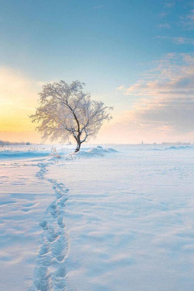 大雪纷飞美景实景图片