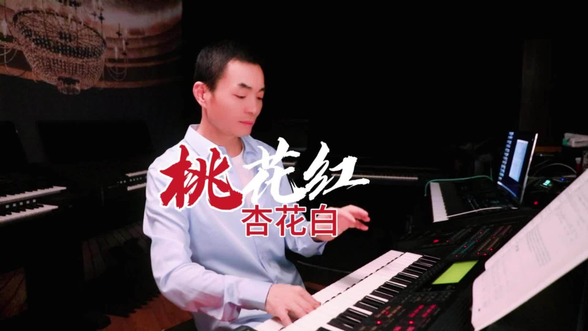 桃花红杏花白器乐演奏图片