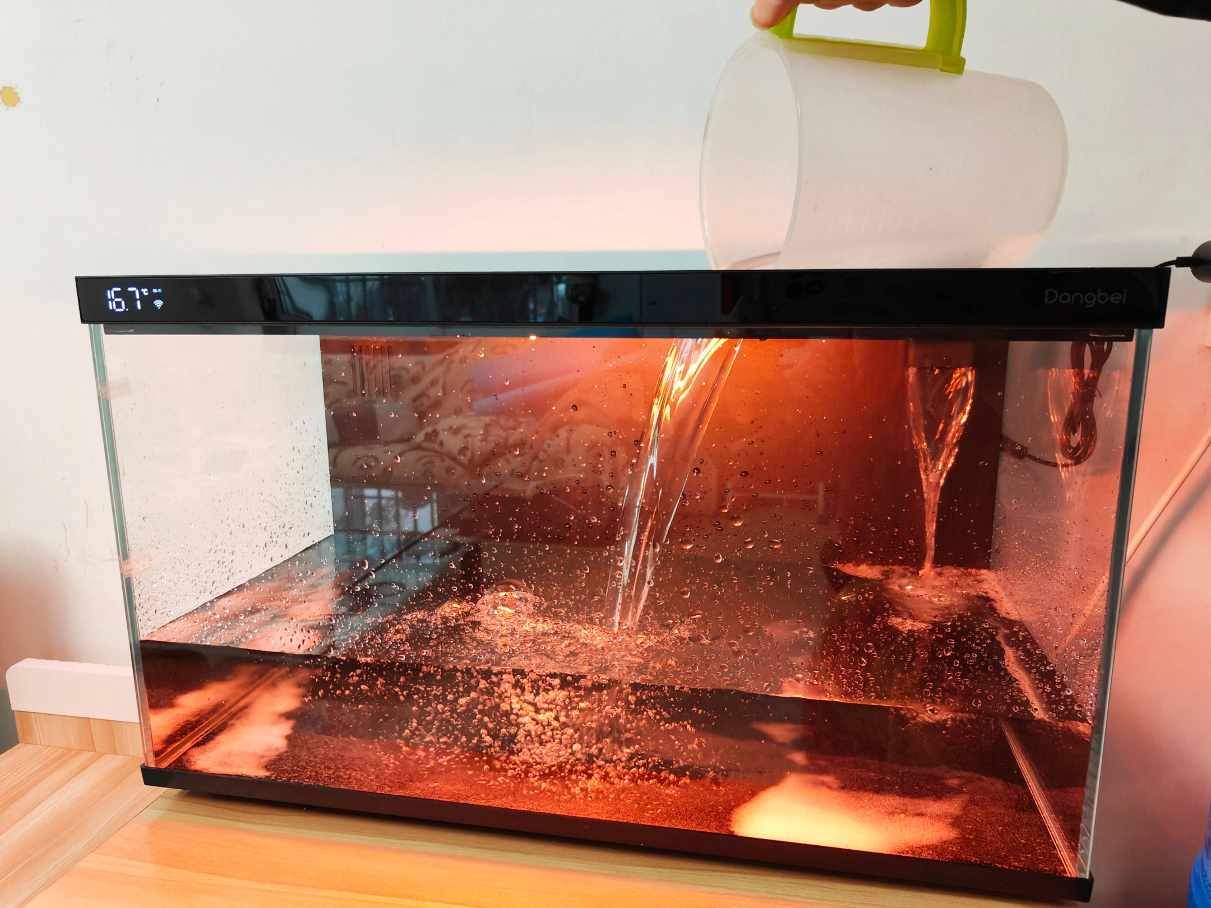 当贝智能鱼缸教你正确养鱼,一键搞定水流和投喂,养鱼如“摸鱼”一样轻松简单