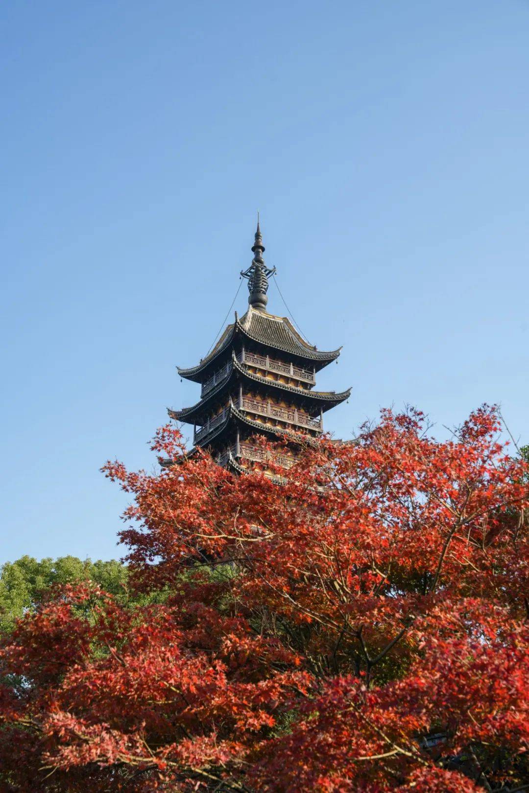 常熟_宾客_餐厅