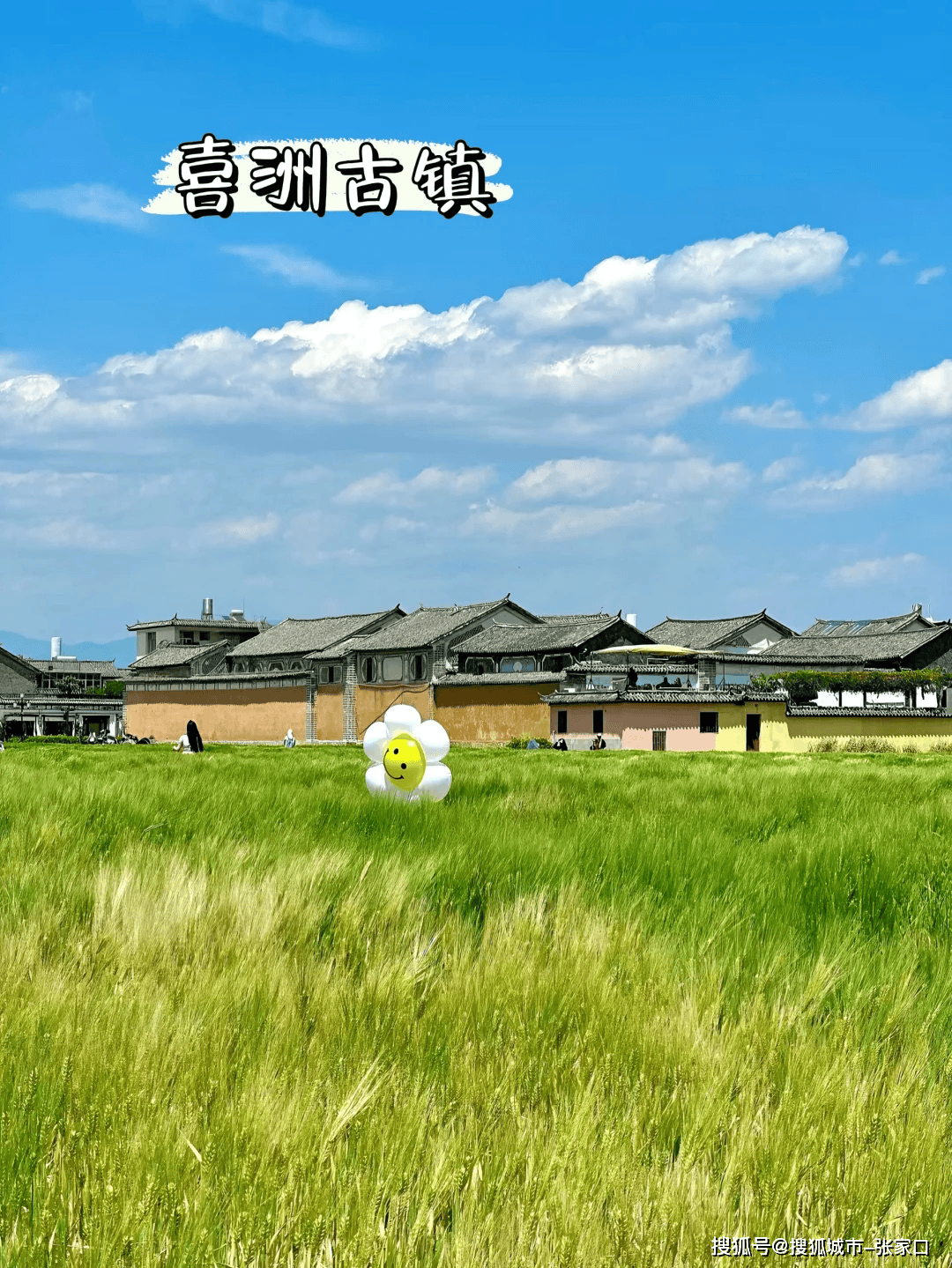 跟团去云南五日游要多少钱,报团去云南5天多少钱,省钱又省心!_苏苏_纳西_丽江古城