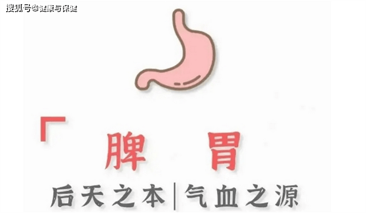 为什么中医说“脾为后天之本，气血生化之源”？_脾胃_脏腑_人体