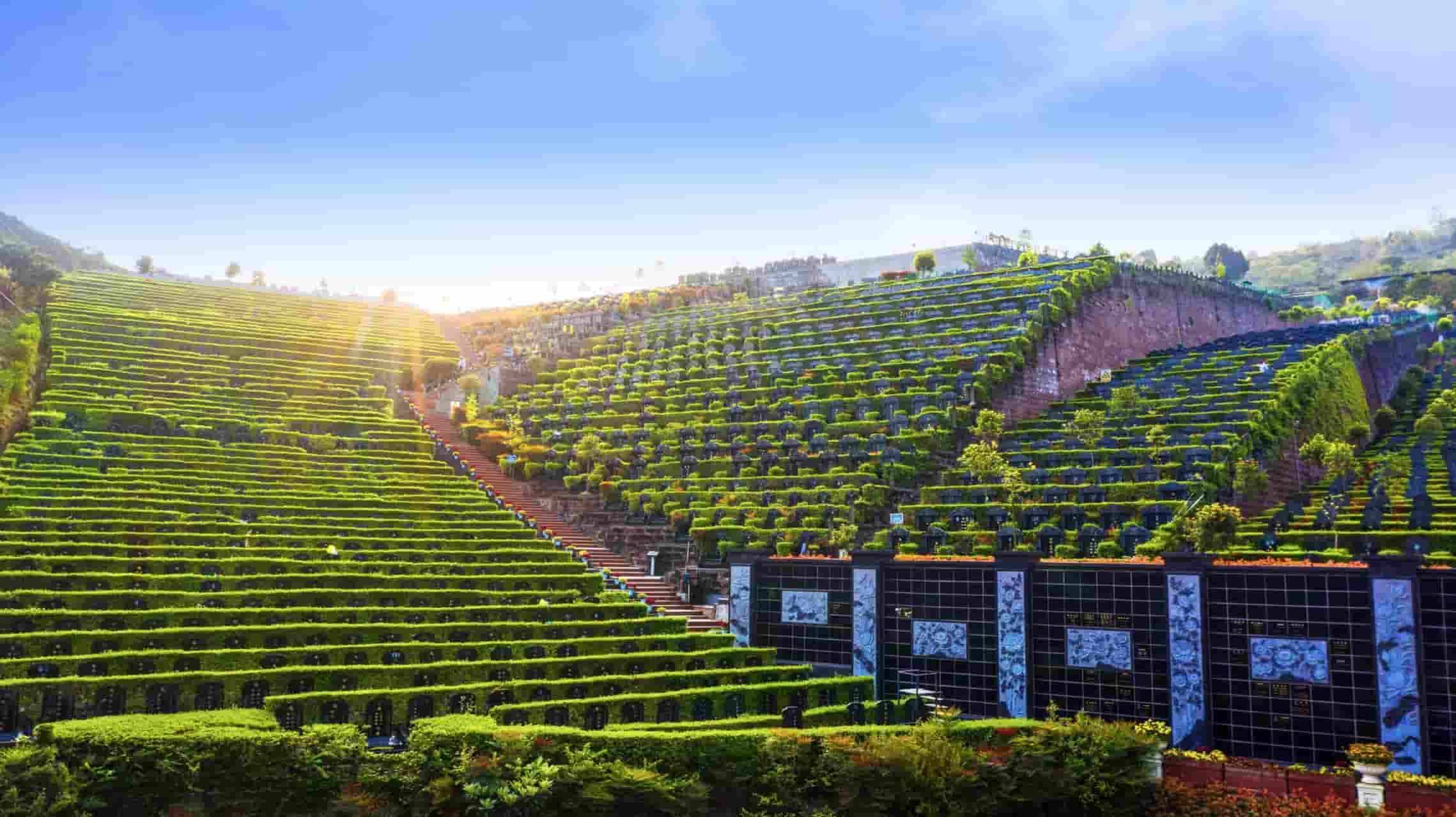 龙泉长松寺公墓_长松寺公墓墓地价格-公墓管理销售中心-墓园直销