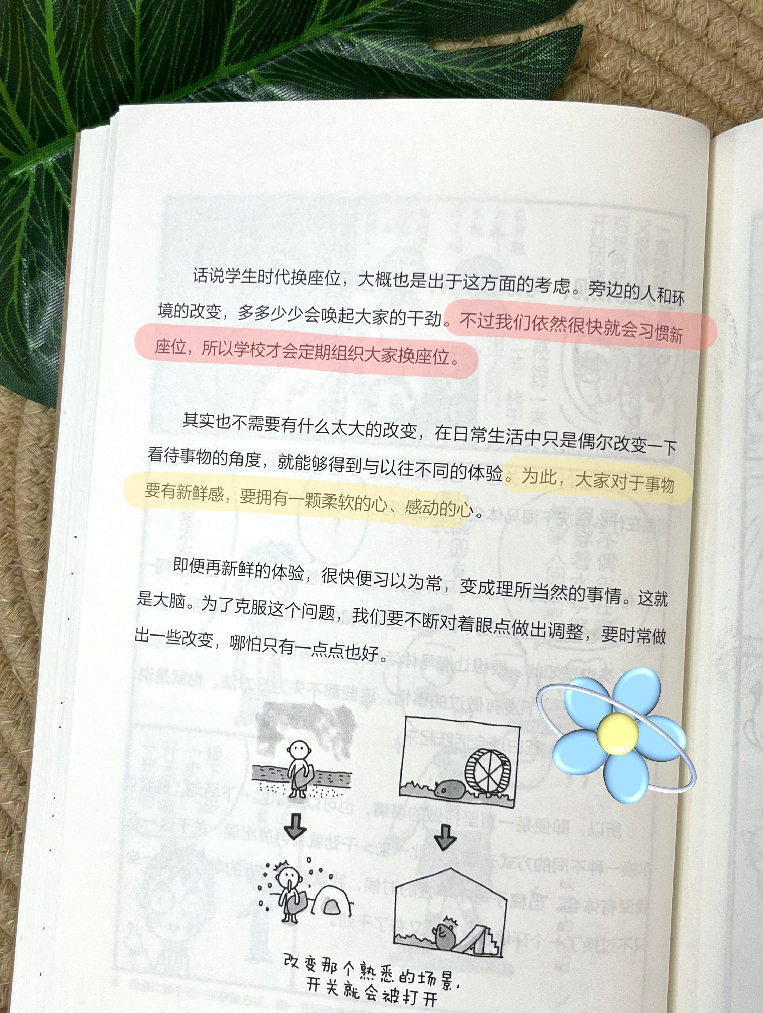 考试脑科学-海马体激活的条件与情境