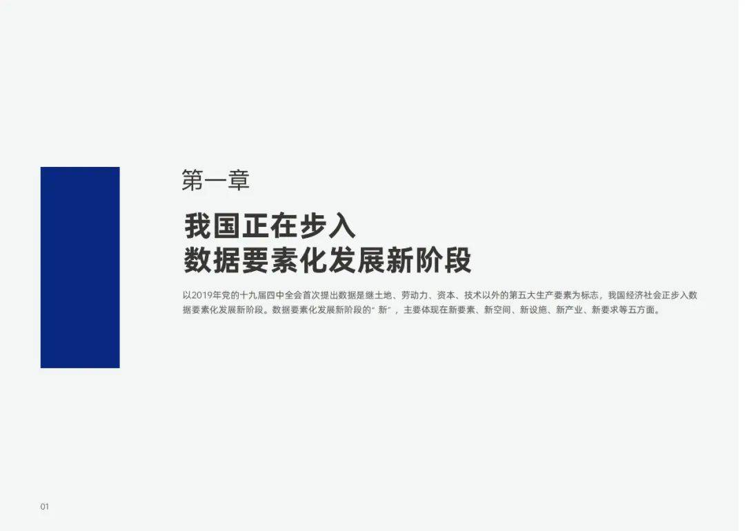 安恒信息：2024年数据要素化新阶段的数据分析，数据基础设施白皮书