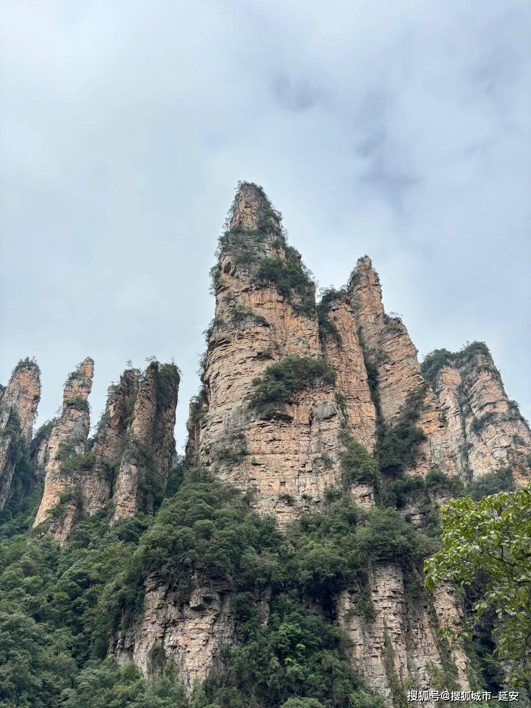 带父母去张家界五天四晚旅游攻略，张家界旅游5天4晚要多少钱？_Day_行程_旅行
