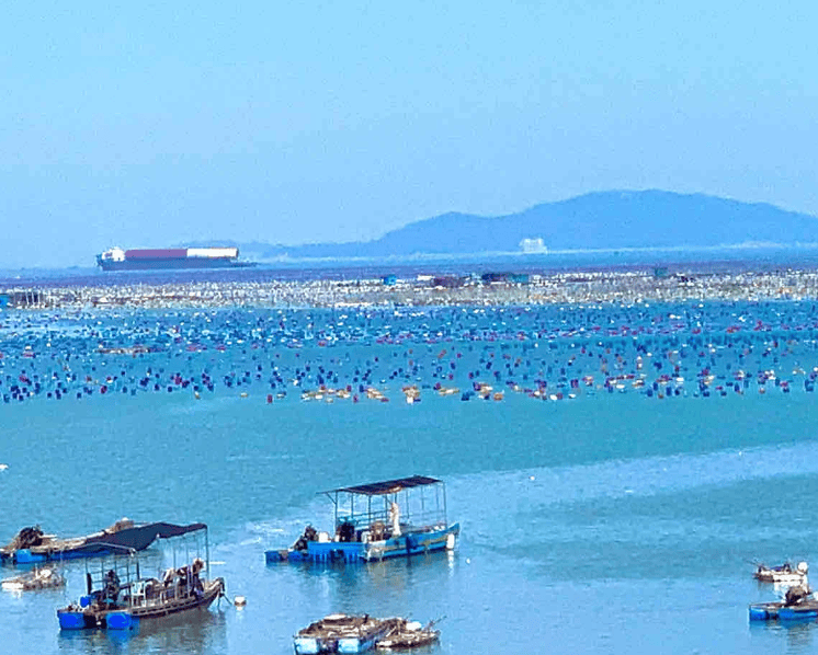 潮汕纯玩6日游行程路线推荐,潮汕6天5晚旅游攻略分享,看完这篇就够了!_汕头_文化_潮州