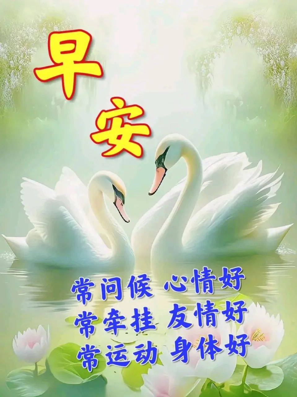 早上好姐妹们!天天问候,彼此更亲