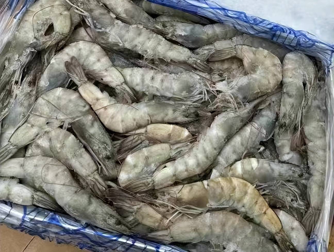 水产品冻品群的简单介绍 水产物
冻品群的简单

先容
（水产冻品都包括什么） 水产