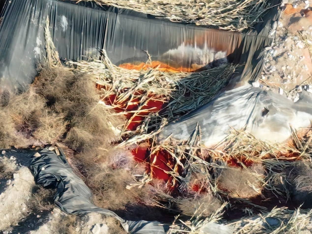 运城远航建材被举报非法扩建且滥排污水 监管称曾责令其停产(图11)