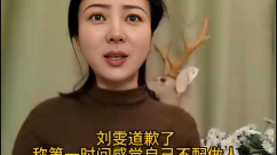 美团与刘雯“较量”：资本与个人声音的新互动 刘雯对阵美团：个人声音在资本面前的逆袭