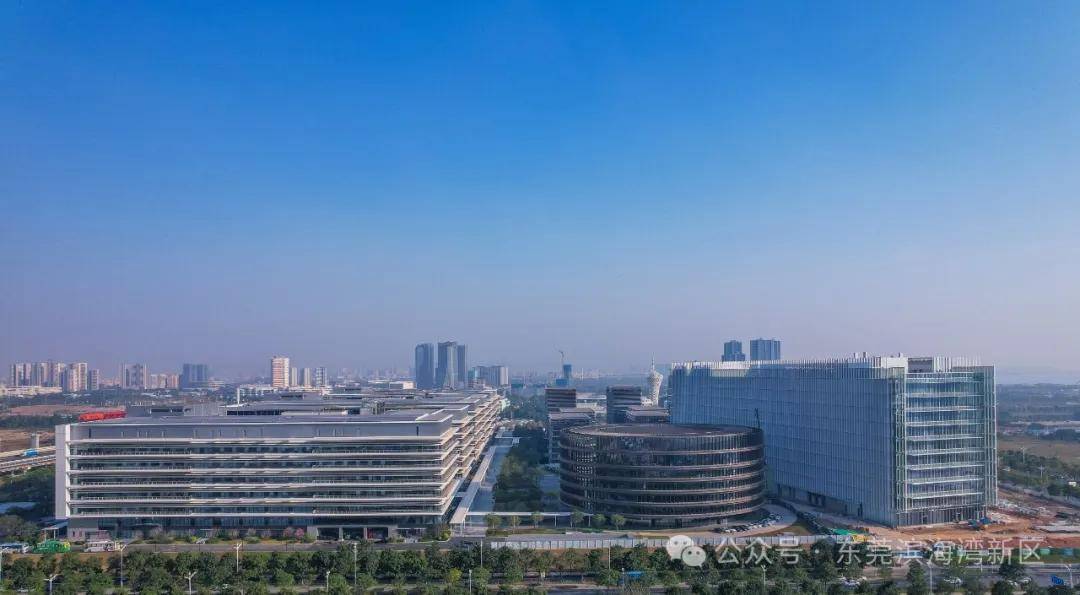 滨海湾：从地标到产业，传统剪纸中的现代画卷，AI“剪”出滨海湾新区：春节游玩新去处